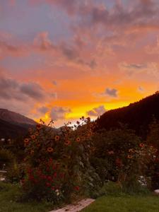 a sunflower field with the sunset in the background at Hotel Crusch Alba Sta Maria in Santa Maria Val Müstair