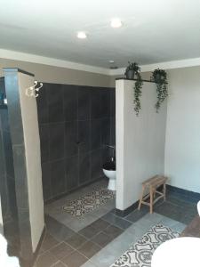 een badkamer met een douche en een toilet in een kamer bij Herberg Lambic in Blitterswijck