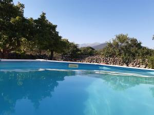 une piscine avec de l'eau bleue et des arbres en arrière-plan dans l'établissement La Celestina, à Candeleda