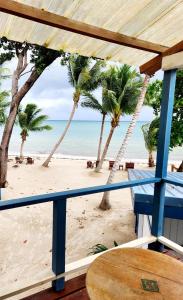 een uitzicht op een strand met palmbomen en de oceaan bij Maya Beach Hotel in Maya Beach