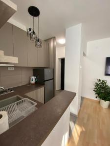 a kitchen with a counter top and a refrigerator at Vist 1 apartment in Tošin Bunar +8 photos