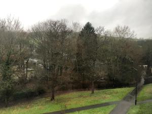 a view of a park with trees and a road at Scarlet House in Batheaston