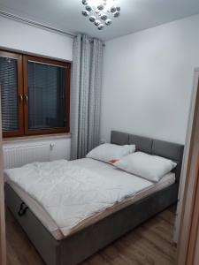 Postel nebo postele na pokoji v ubytování Opera Kołobrzeska 6 Apartment for you z halą garażową