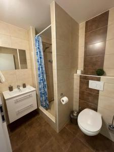 La salle de bains est pourvue de toilettes, d'une douche et d'un lavabo. dans l'établissement Pension Hájek, à Prague