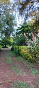 a garden with flowers and trees and a dirt road at Revivir "LA CASA DE LOS ABUELOS" in Montecarlo