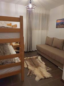 - un salon avec un canapé et un tapis à l'étage dans l'établissement Antić apartmani Stara planina, à Crni Vrh
