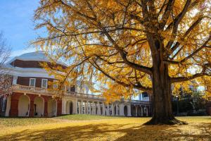 a large building with a tree in front of it at Kimpton - The Forum Hotel, an IHG Hotel in Charlottesville