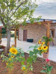 A garden outside Chalet in campagna