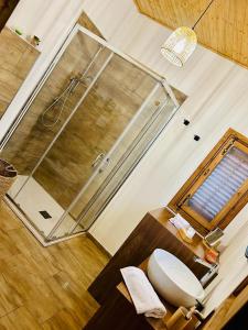 a bathroom with a shower and a toilet and a sink at Chalet in campagna in Partanna