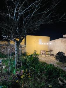 A garden outside Chalet in campagna