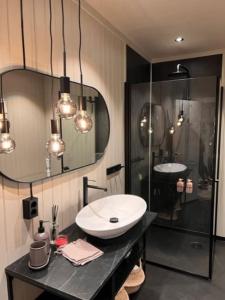 La salle de bains est pourvue d'un lavabo et d'une douche en verre. dans l'établissement Skogro ved Norefjell, à Noresund