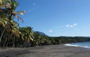 una playa con palmeras y el océano en Bung-hello Village,Petit Bungalow confortable avec jacuzzi en Trois-Rivières