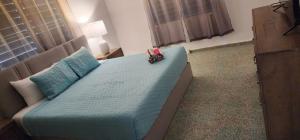 Schlafzimmer mit einem Bett mit blauer Bettwäsche und Kissen in der Unterkunft Villa near Crash Boat Beach Aguadilla, PR 2nd flr in Camaceyes