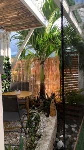 eine Terrasse mit einem Tisch und einer Palme in der Unterkunft Charmant logement avec spa/petit-déjeuner inclus. in Pointe-Noire