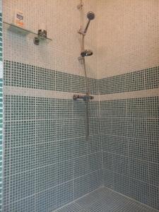 a shower in a bathroom with blue tiles at Charmant logement avec spa/petit-déjeuner inclus. in Pointe-Noire
