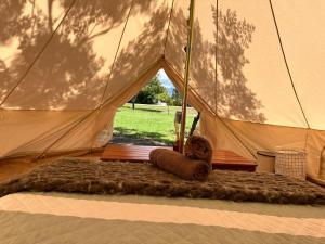 a large tent with a rug in front of it at GLAMPING RANCHO ALEGRE in Merlo +13 photos