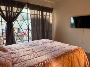 ein Schlafzimmer mit einem Bett und einem großen Fenster in der Unterkunft Suite Afif Centro in Tlatlauquitepec