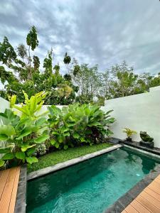 einen Pool in einem Garten mit Pflanzen in der Unterkunft The Seaglass Villas Bingin in Uluwatu