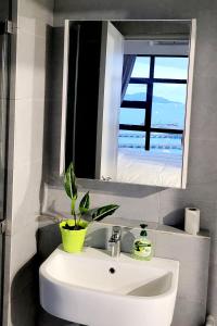 a bathroom sink with a potted plant and a mirror at Kota Kinabalu Jesselton Quay Seaview with washing machine in Kota Kinabalu +43 photos