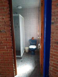 y baño con aseo azul y ducha. en COYOACAN DEPARTAMENTO TIPO COLONIAL, en Ciudad de México