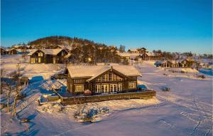 an aerial view of a house in the snow at Beautiful Home In Rauland With Kitchen in Rauland