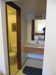 a bathroom with a sink and a toilet and a mirror at White Moose Lodge in Healy