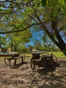 two benches and a picnic table under a tree at Finca La Secundina in Salta