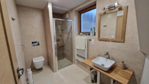 a bathroom with a sink and a shower and a toilet at Mytho 1 in Mýto pod Ďumbierom