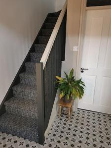 a staircase with a potted plant next to a door at Big Blue in Clonakilty