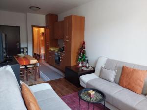 uma sala de estar com um sofá e uma árvore de Natal em Apartman Pahuljica Vlašić em Vlasic