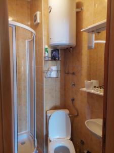 a bathroom with a toilet and a shower at Apartman Pahuljica Vlašić in Vlasic