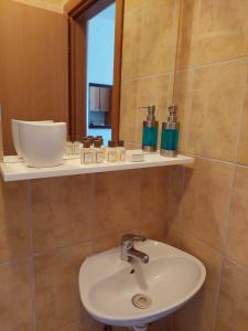 ein Bad mit einem Waschbecken und einem Spiegel in der Unterkunft Apartman Pahuljica Vlašić in Vlasic