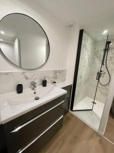 a bathroom with a sink and a shower with a mirror at Appartement 2 chambres en plein centre ville in Chalon-sur-Saône +11 photos