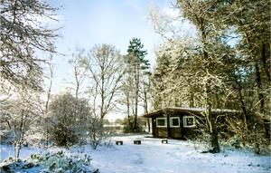 una pequeña cabaña en la nieve con árboles en Pet Friendly Home In Meppen With House A Panoramic View, en Meppen