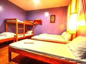 プエルト・プリンセサにあるOYO 622 Butterfly Totem Guesthouseの紫の壁の客室で、二段ベッド3組が備わります。