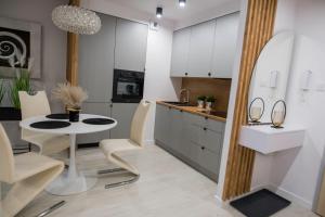 Kuchyňa alebo kuchynka v ubytovaní Nowoczesny apartament Ludova