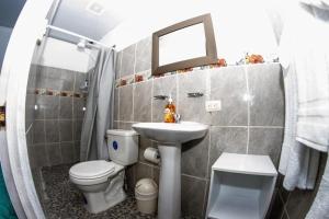 bagno con servizi igienici, lavandino e specchio di Hostal Jasmin a Berlín