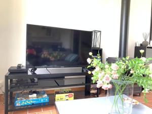 Televízia a/alebo spoločenská miestnosť v ubytovaní Maisonnette au calme, 15 kms Honfleur/Deauville