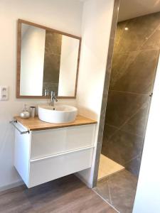 a bathroom with a sink and a shower with a mirror at APPARTEMENT 1 CHAMBRE AVEC ENTREE INDIVIDUEL in Chalon-sur-Saône