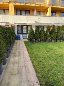 Vonkajšia záhrada v ubytovaní Al-Dom Apartamenty Wiśniowy Ogród z garażem