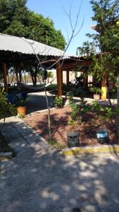 un jardín con una hamaca y un pabellón en Hospedaje Familiar Op3, en Tlaquiltenango 4 fotos más