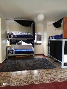 Habitación con 2 literas y alfombra. en Hostel Cuatro Estaciones, en Puebla
