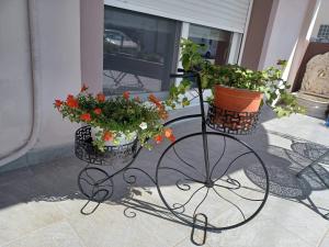 Fotografie z fotogalerie ubytování Comfort House Mimosa 1 v destinaci Palekastro