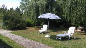 Vonkajšia záhrada v ubytovaní Holiday home in Balatonfenyves 43110
