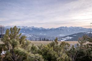 a view of a mountain range with trees in the foreground at Willa na Grani in Zakopane
