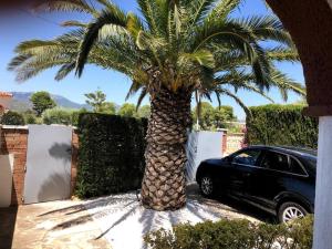 Fotografie z fotogalerie ubytování Villa climatisée bord de mer avec piscine privée v destinaci Miami Platja