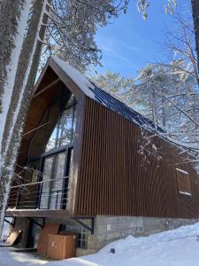 a tree house with a wooden facade in the snow at National Park Sauna Retreats - Villa 68 Pines in Kaludjerske Bare
