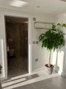 a bathroom with a plant in a pot next to a shower at Brand New Listing - The Honey Pot in Stanton in Stanton
