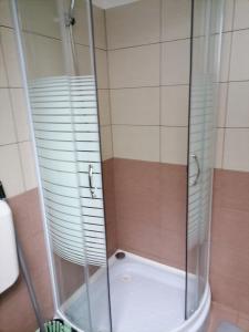 a shower with a glass door in a bathroom at Jázmin Vendégház 