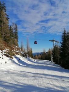 Appartement Alpenglück talvel